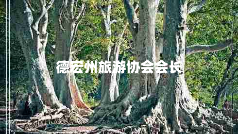 德宏州旅游協(xié)會(huì)會(huì)長(zhǎng)
