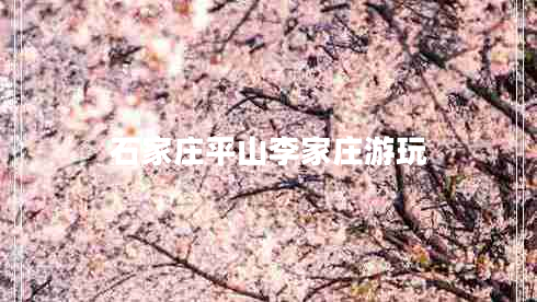 石家莊平山李家莊游玩