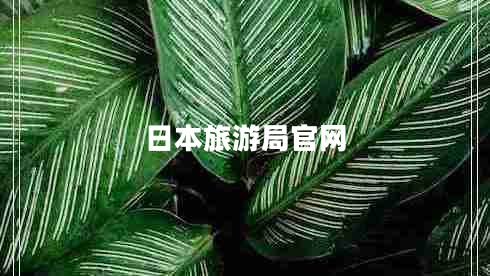 日本旅游局官網(wǎng) 日本旅游局官網(wǎng)
