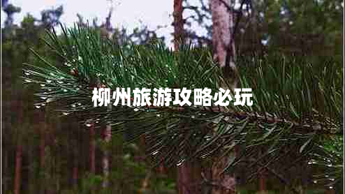 柳州旅游攻略必玩 柳州旅游攻略必玩