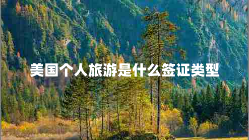 美國個(gè)人旅游是什么簽證類型