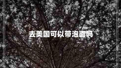 去美國可以帶泡面嗎