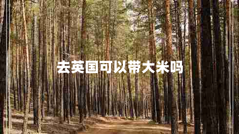 去英國(guó)可以帶大米嗎
