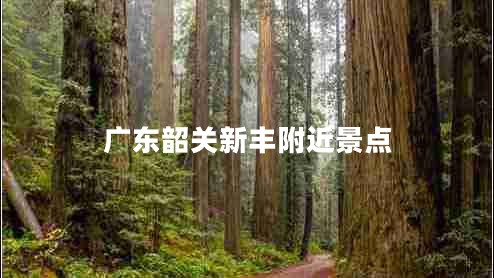 廣東韶關(guān)新豐附近景點(diǎn)