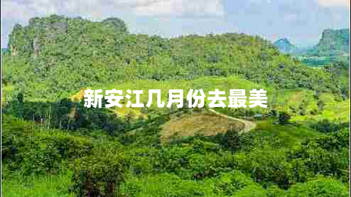 新安江幾月份去最美 新安江幾月份去最美
