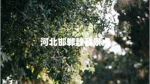 河北邯鄲魏縣景點 河北邯鄲魏縣景點