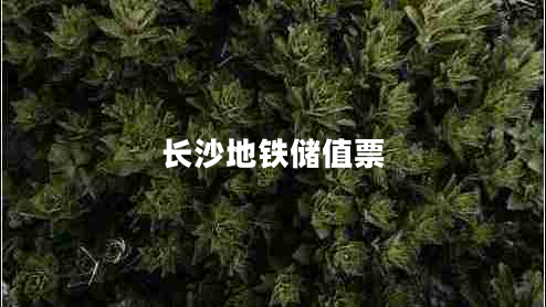 長(zhǎng)沙地鐵儲(chǔ)值票