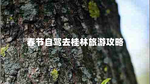 春節(jié)自駕去桂林旅游攻略 春節(jié)自駕去桂林旅游攻略