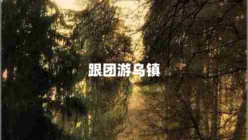 跟團(tuán)游烏鎮(zhèn)