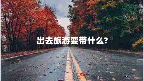 出去旅游要帶什么? 出去旅游要帶什么?
