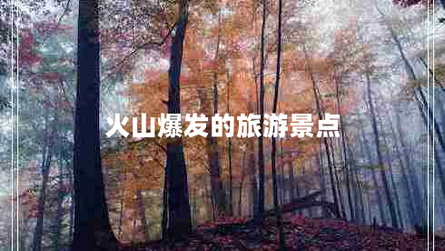 火山爆發(fā)的旅游景點 火山爆發(fā)的旅游景點