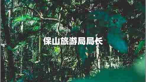 保山旅游局局長