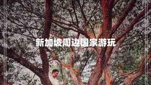 新加坡周邊國(guó)家游玩