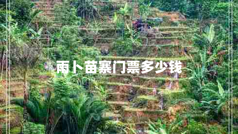 雨卜苗寨門票多少錢