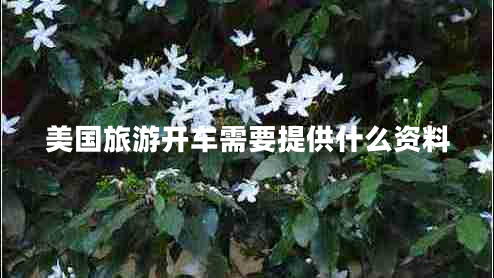 美國旅游開車需要提供什么資料 美國旅游開車需要提供什么資料