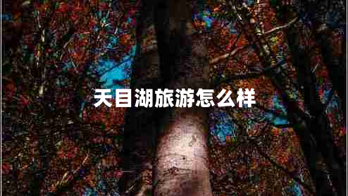 天目湖旅游怎么樣 天目湖旅游怎么樣