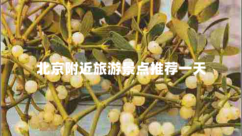 北京附近旅游景點推薦一天 北京附近旅游景點推薦一天