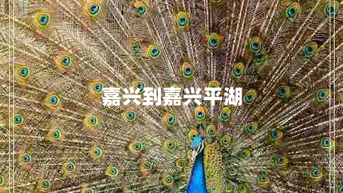 嘉興到嘉興平湖