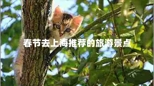 春節(jié)去上海推薦的旅游景點(diǎn) 春節(jié)去上海推薦的旅游景點(diǎn)