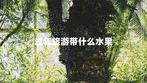 過年旅游帶什么水果 過年旅游帶什么水果