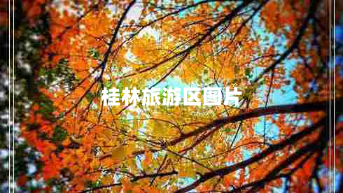 桂林旅游區(qū)圖片
