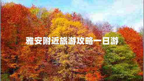 雅安附近旅游攻略一日游 雅安附近旅游攻略一日游