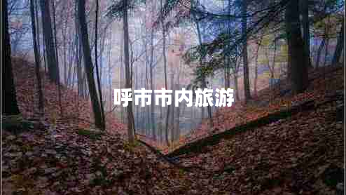 呼市市內(nèi)旅游 呼市市內(nèi)旅游