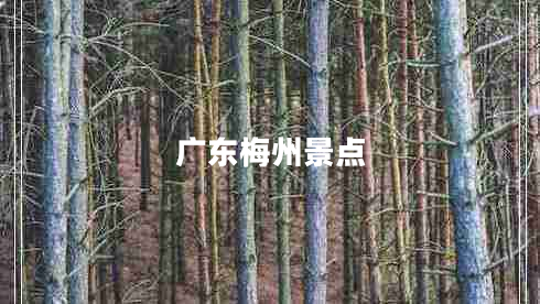 廣東梅州景點(diǎn)
