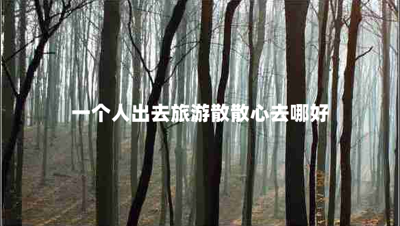 一個人出去旅游散散心去哪好