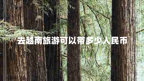 去越南旅游可以帶多少人民幣