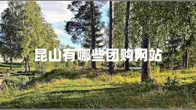 昆山有哪些團(tuán)購(gòu)網(wǎng)站