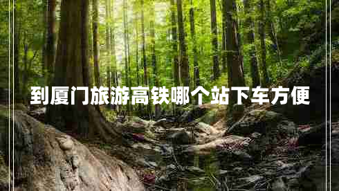 到廈門旅游高鐵哪個(gè)站下車方便