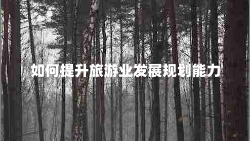 如何提升旅游業(yè)發(fā)展規(guī)劃能力