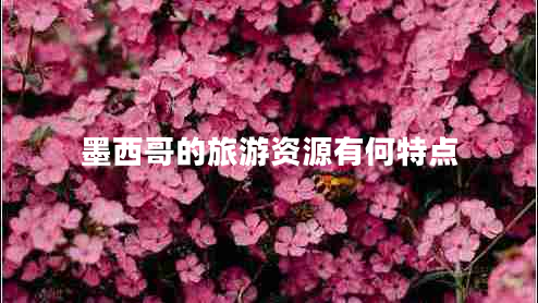 墨西哥的旅游資源有何特點