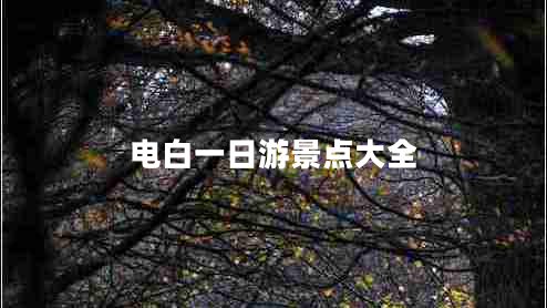 電白一日游景點大全