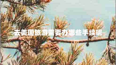 去美國旅游需要辦哪些手續(xù)呢