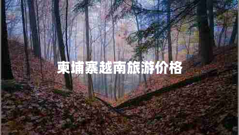 柬埔寨越南旅游價(jià)格