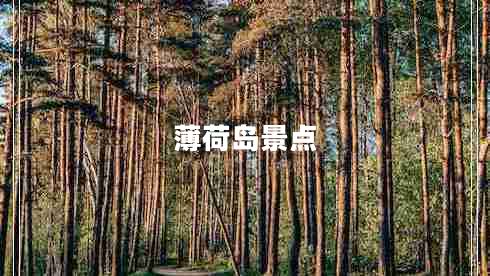 薄荷島景點(diǎn)