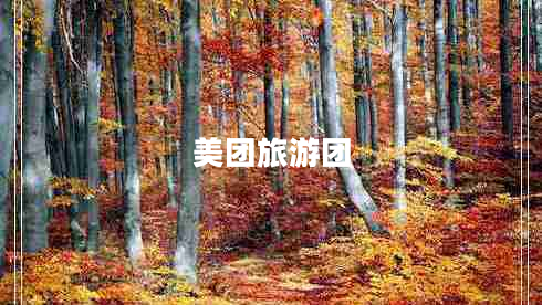 美團(tuán)旅游團(tuán)