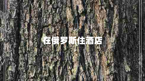 在俄羅斯住酒店 在俄羅斯住酒店