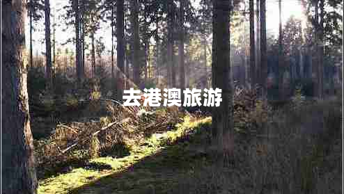 去港澳旅游 去港澳旅游