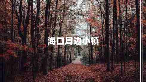 海口周邊小鎮(zhèn)
