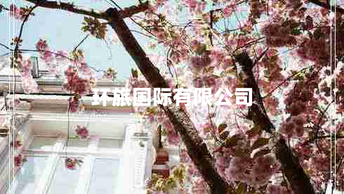 環(huán)旅國際有限公司