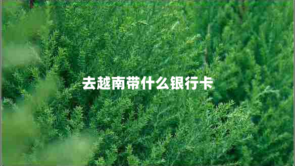 去越南帶什么銀行卡 去越南帶什么銀行卡