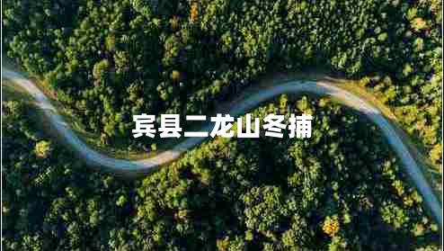 賓縣二龍山冬捕