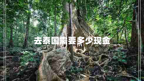 去泰國需要多少現(xiàn)金