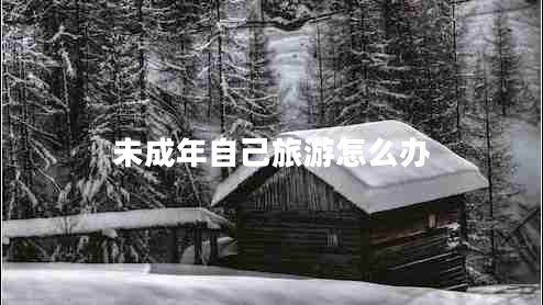 未成年自己旅游怎么辦
