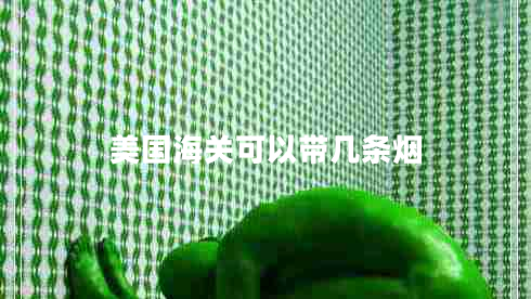 美國海關(guān)可以帶幾條煙 美國海關(guān)可以帶幾條煙