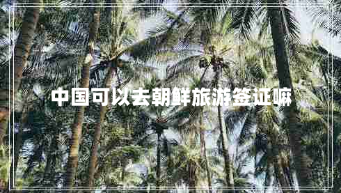 中國可以去朝鮮旅游簽證嘛