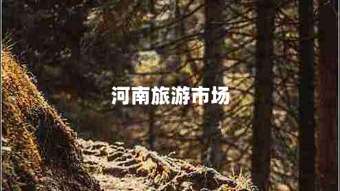 河南旅游市場(chǎng) 河南旅游市場(chǎng)